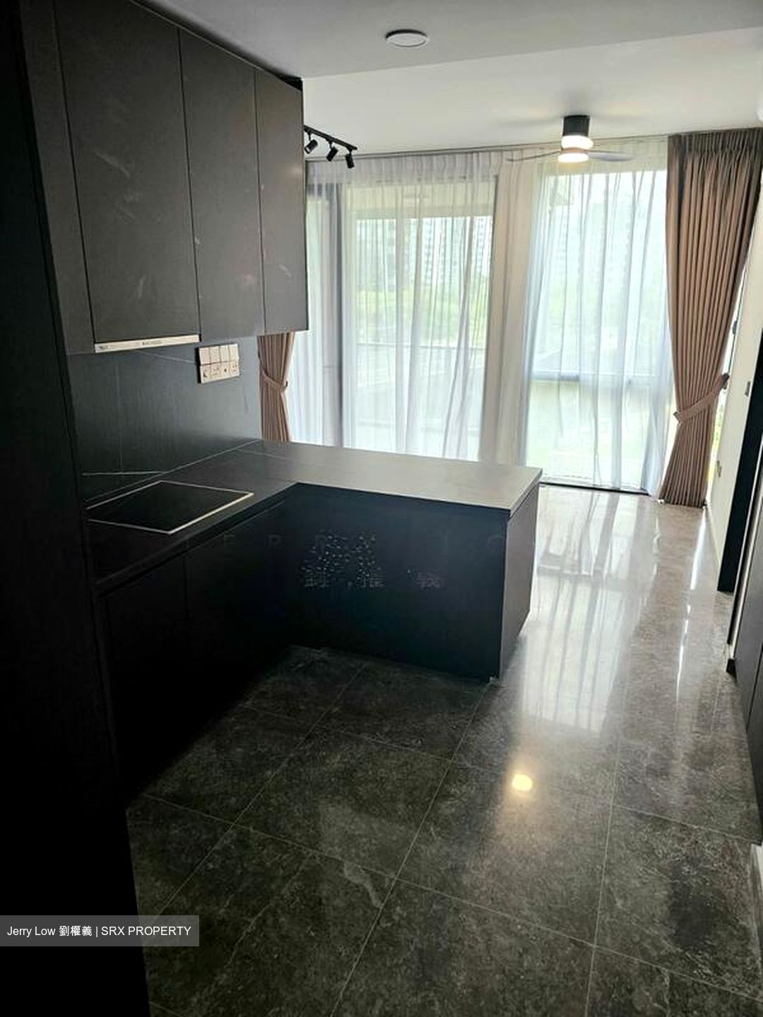 Hyll On Holland (D10), Condominium #518514521
